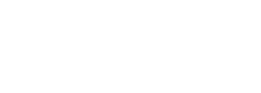 Skynde